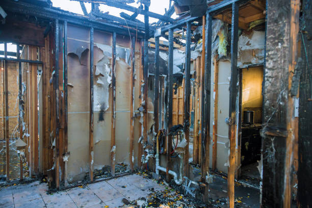 Professional Fire Damage Repair technician working in Maple Valley, WA